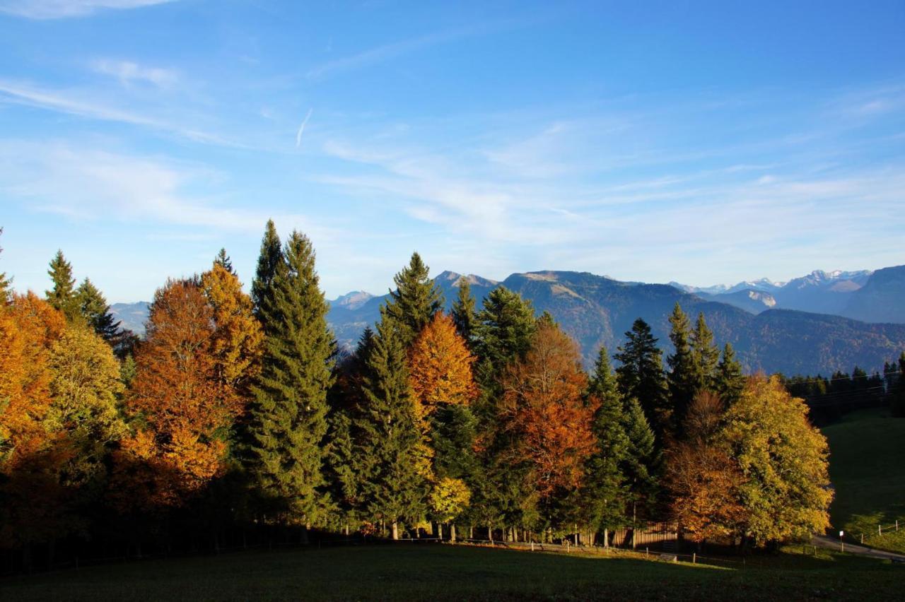 Hotel Alpengasthof Brueggele Alberschwende Zewnętrze zdjęcie