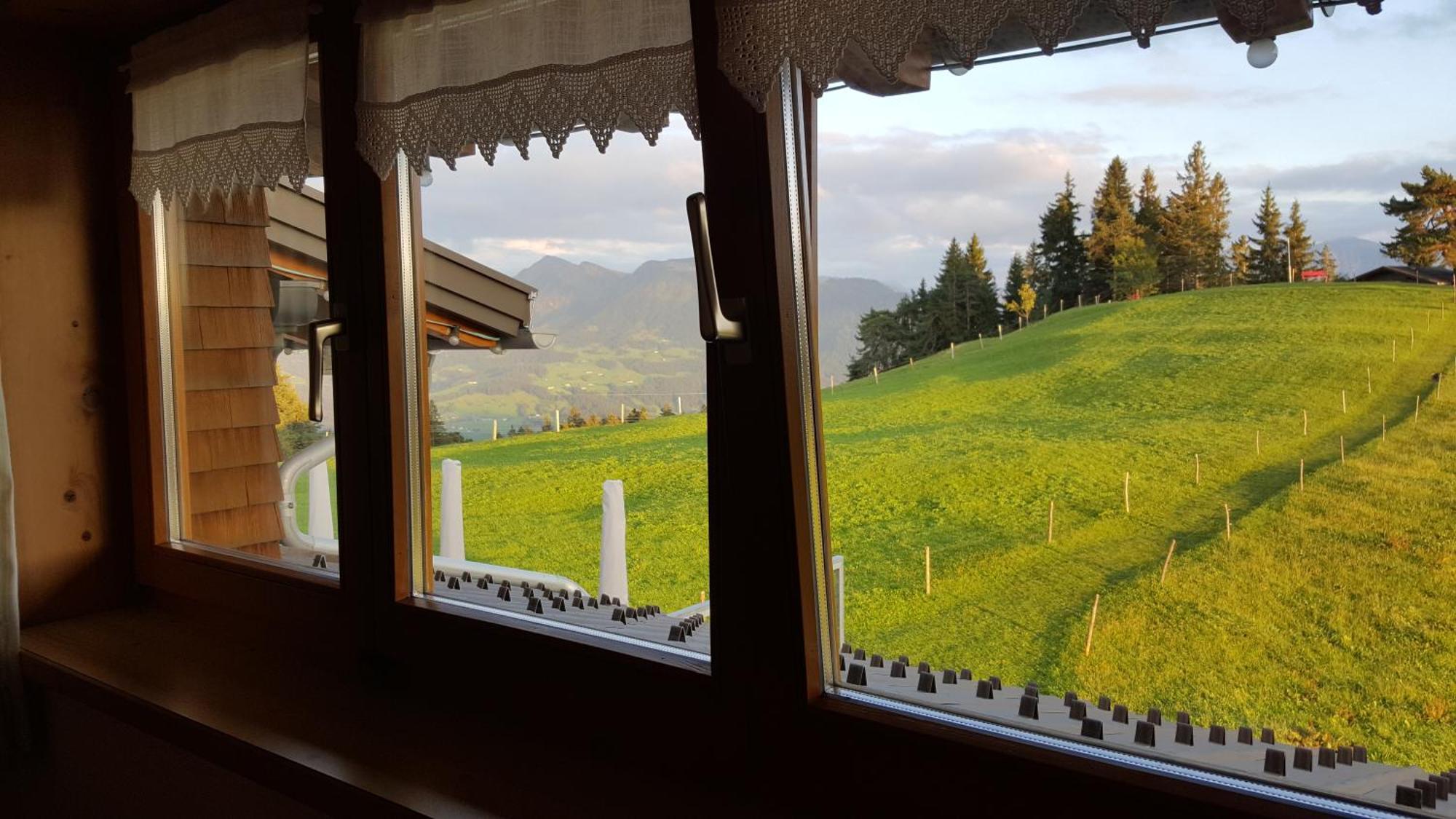 Hotel Alpengasthof Brueggele Alberschwende Pokój zdjęcie